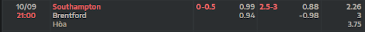 ty-le-keo-tran-dau-giua-hai-doi-tuyen-southampton-vs-brentford-2100-ngay-10-09-2022-ngoai-hang-anh