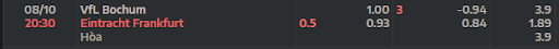 ty-le-keo-tran-dau-giua-hai-doi-tuyen-vfl-bochum-vs-eintracht-frankfurt-2030-ngay-08-10-2022-bundesliga