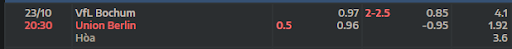ty-le-keo-tran-dau-giua-hai-doi-tuyen-vfl-bochum-vs-union-berlin-2030-ngay-23-10-2022-bundesliga