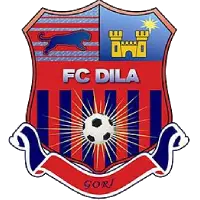 Dila Gori