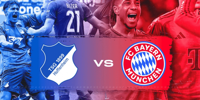 Hoffenheim-vs-Bayern-Munich