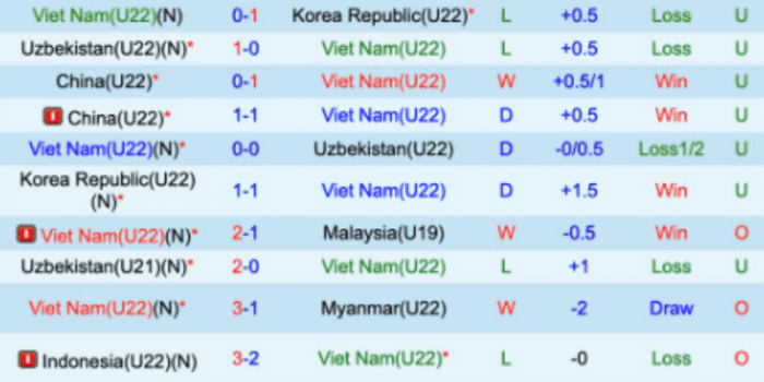 CLB-VIET-NAM-U22